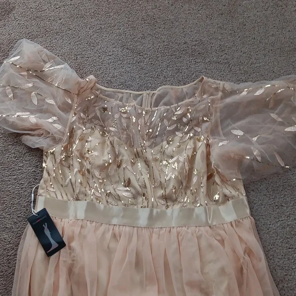 Ever pretty beige color sequin dress - Picture 7 of 11